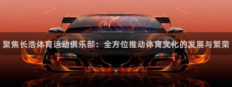 球速体育