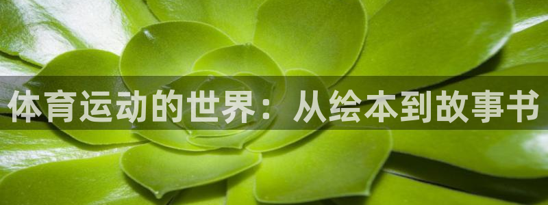 球速体育