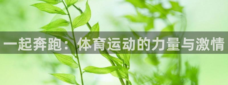 球速体育