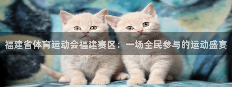 球速体育