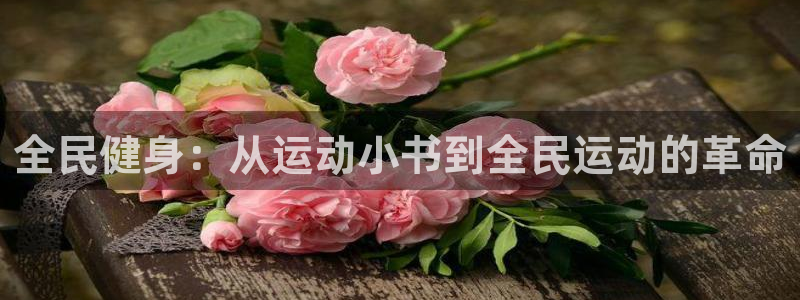 球速体育