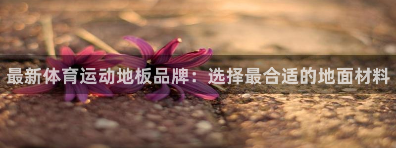 球速体育