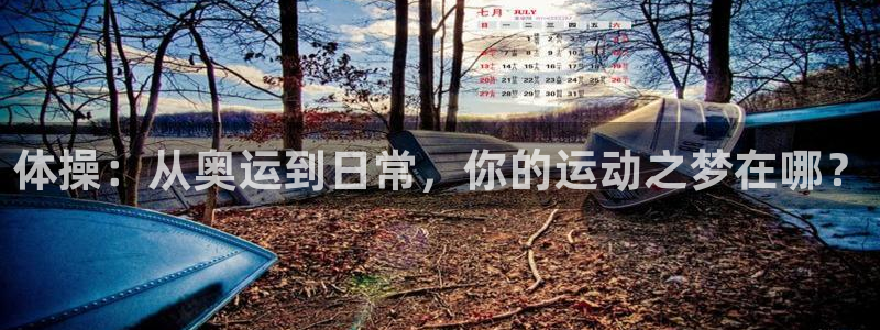 球速体育