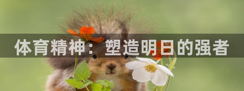 球速体育